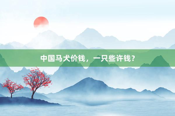 中国马犬价钱，一只些许钱？