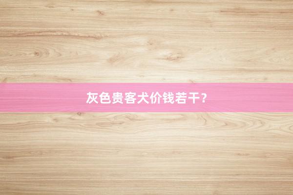 灰色贵客犬价钱若干？